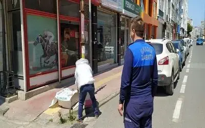 Şehre inen arılara zabıta ekipleri müdahale etti
