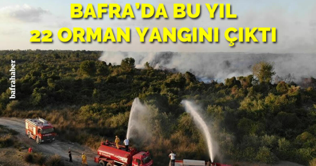 Bafra'da bu yıl 22 orman yangını çıktı