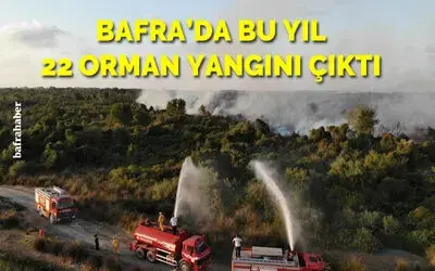 Bafra'da bu yıl 22 orman yangını çıktı