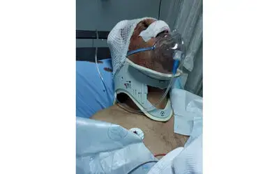 Mantar toplarken yamaçtan yuvarlanan yaşlı adam ağır yaralandı
