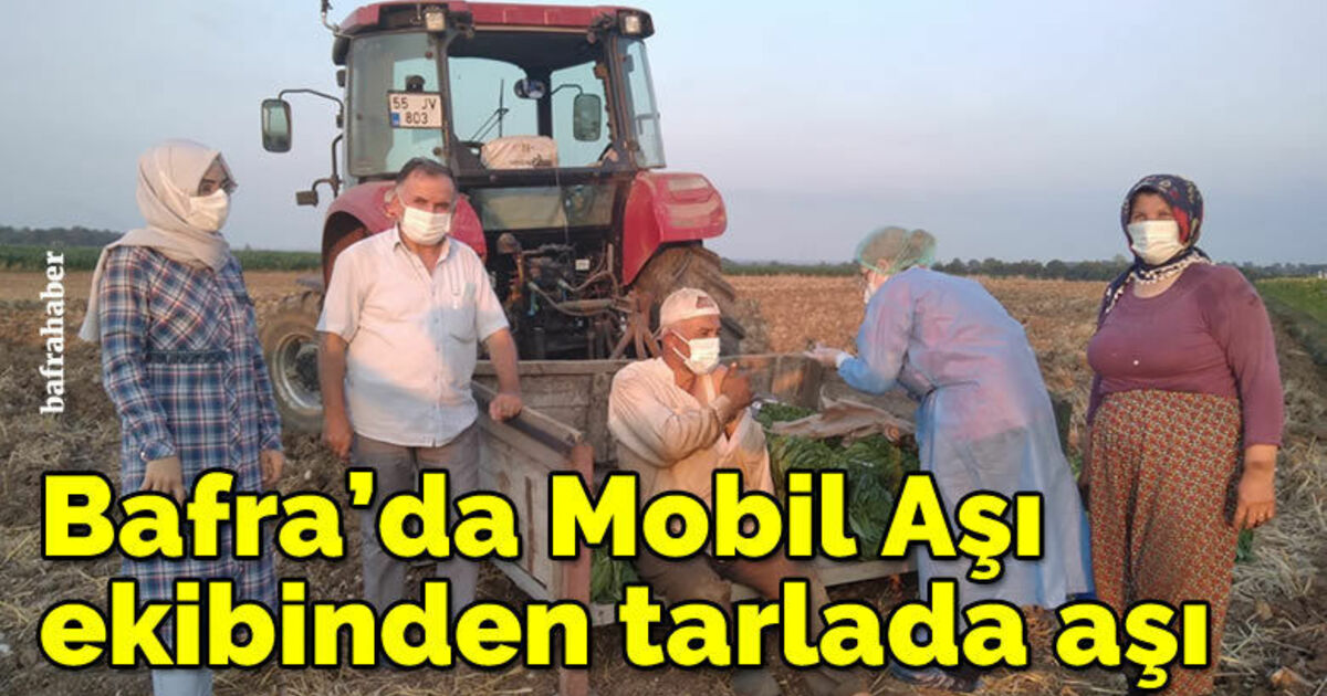 Bafra'da Mobil Aşı ekibinden tarlada aşı