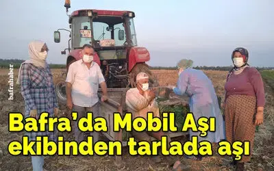 Bafra'da Mobil Aşı ekibinden tarlada aşı