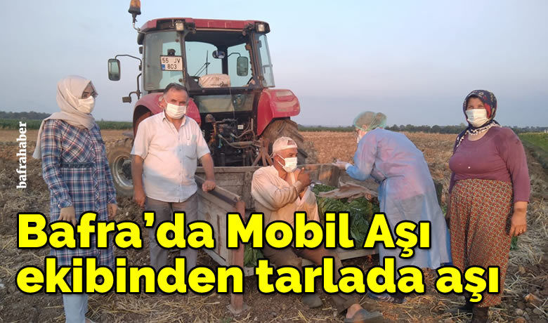 Bafra'da Mobil Aşı ekibinden tarlada aşı