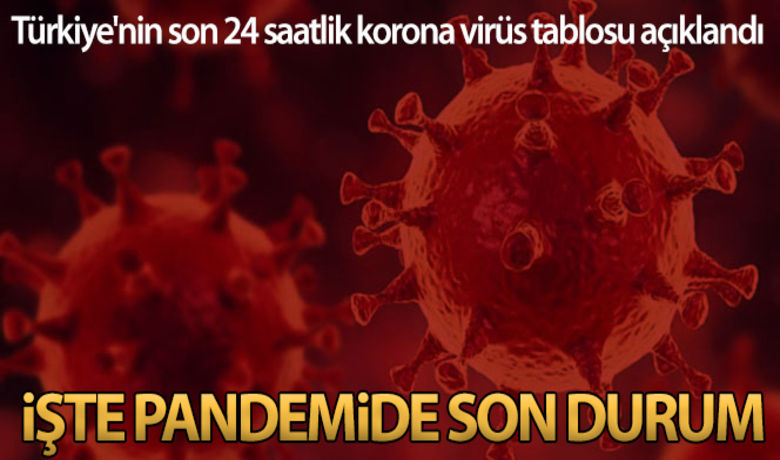 Sağlık Bakanlığı,Türkiye'nin son 24saatlik korona virüs tablosunu açıkladı - Sağlık Bakanlığı,son 24 saatlik korona virüs tablosunu açıkladı.Türkiye'de son 24 saatte 6.918 kişinin testi pozitif çıktı, 35 kişi hayatını kaybetti