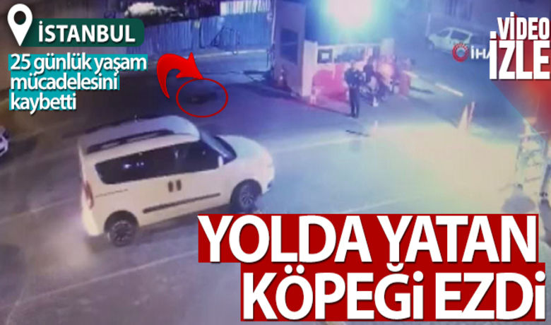 Esenyurt'ta otomobil yatan köpeğin üzerinden geçti - İstanbul Esenyurt’ta bir siteden çıkan otomobil sürücüsü kapı önünde yatan köpeği fark etmeyerek üzerinden geçti. Köpek yapılan tüm müdahalelere rağmen 25 gün sonra ölürken, yaşanan o anlarda saniye saniye güvenlik kamerasına yansıdı.