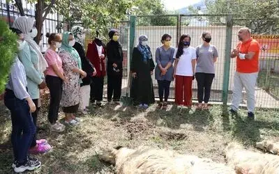 Kurbanlıklar yurtta kalan öğrenciler için kesildi
