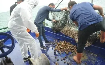 Samsun’da en çok hayvansal ürün ihracatı balık yağı ile gerçekleşti
