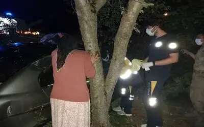 Otomobil yoldan çıktı: 2 yaralı
