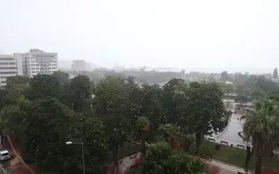 Samsun’da sağanak
