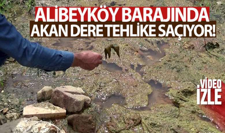 Alibeyköy barajında akan dere tehlike saçıyor - Alibeyköy barajında yaşanan toplu balık ölümlerinin ardından bu defa Sultangazi Habibler Mahallesi içinden geçerek baraja akan dere üzerindeki tavuk ve benzeri hayvanların telef olması bölgede yaşayan gecekondu sakinlerini korkutmaya başladı.