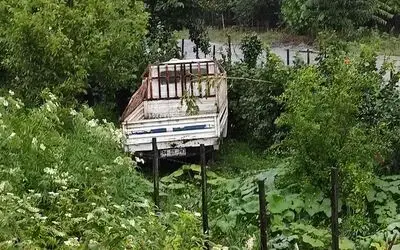 Kamyonet takla attı: 1 yaralı
