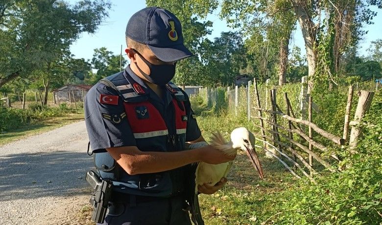 Yaralı leyleğin imdadınajandarma ekipleri yetişti - Samsun’da Kızılırmak Deltası Kuş Cenneti’nde jandarma ekiplerince yaralı halde bulunan leylek emin ellerde teslim edildi.