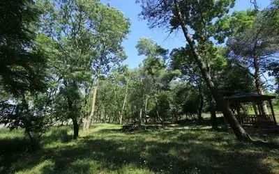 Samsun’da pikniğe saat kısıtlaması
