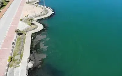 Karadeniz’de müsilaj tehlikesi
