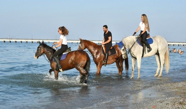Atların deniz keyfi
 - Samsun Büyükşehir Belediyesi Atlı Binicilik Spor Tesisi’ndeki atlar, kumsalda antrenman yaptı. Koşu idmanının ardından terleyen atlar, daha sonra denize sokuldu.