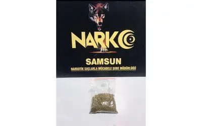 Samsun’da uyuşturucu ticaretine 2 gözaltı
