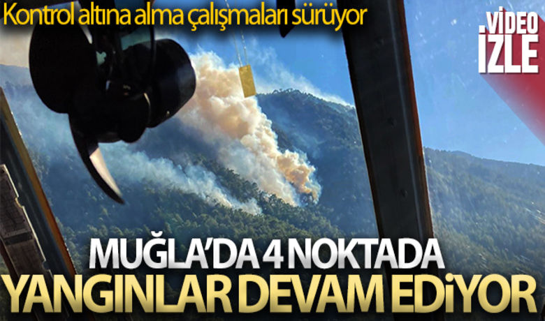 Muğla'da 4 noktada yangınlar devam ediyor - Muğla bölgesinde 10 gün önce başlayan orman yangınlarından Marmaris ve Bodrum yangınları kontrol altına alınırken, Yatağan, Menteşe, Köyceğiz ve Milas’taki orman yangınları devam ediyor.