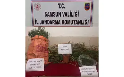 Evinde uyuşturucu ve kenevir ele geçen şahıs tutuklandı
