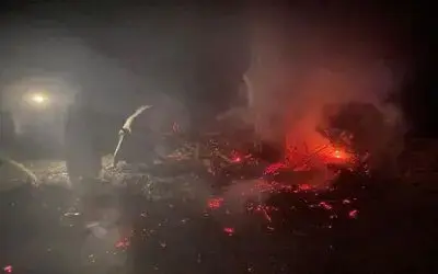 Ormana yıldırım düştü
