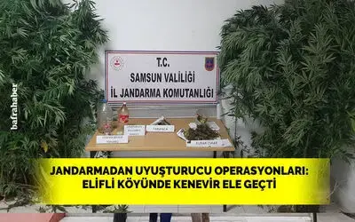 Elifli köyünde kenevir ele geçti