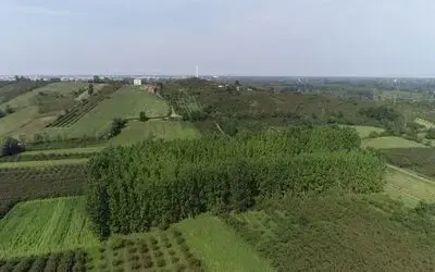 Samsun fındık üretiminde 1. sıraya doğru yükseliyor