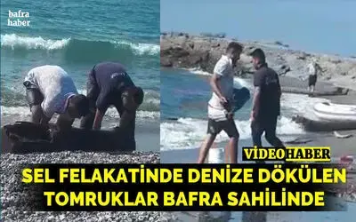 Sel felakatinde denize dökülen tomruklar Bafra sahilinde