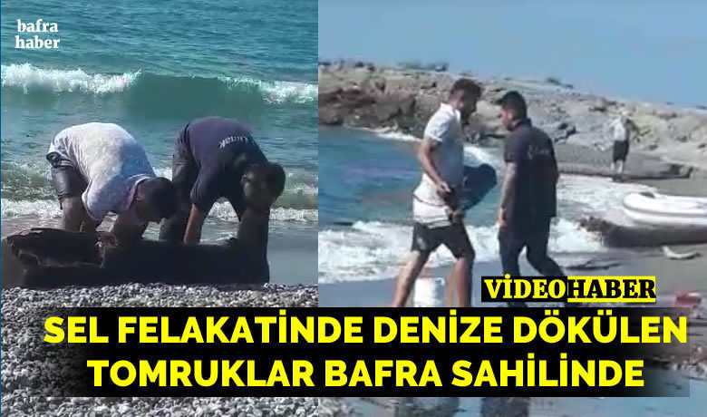 Sel felakatinde denize dökülen tomruklar Bafra sahilinde