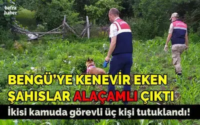 Bengü'ye Kenevir Eken Şahıslar Alaçamlı Çıktı