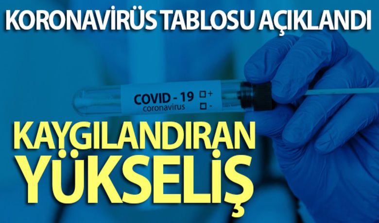 Türkiye'nin 17 Ağustoskoronavirüs tablosu açıklandı - Sağlık Bakanlığı son 24 saatte 183 kişi koronavirüsten hayatını kaybettiğini, 21 bin 692 kişinin ise koronavirüs testinin pozitif çıktığını açıkladı.