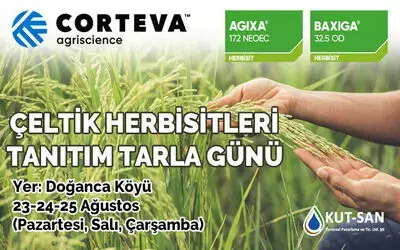 Bafra’da Çeltik Herbisitleri Tanıtım Tarla Günü