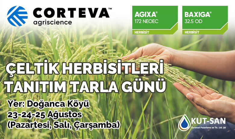 Bafra’da Çeltik Herbisitleri Tanıtım Tarla Günü