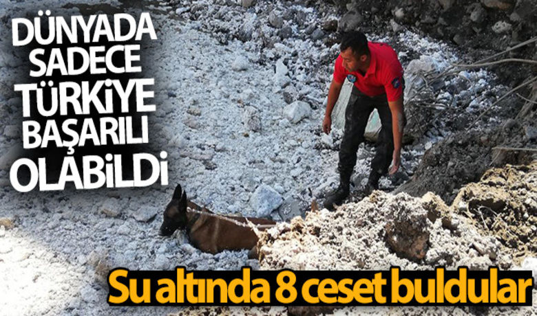 Dünyada sadece Türkiye başarılı olabildi:Su altında 8 ceset buldular - Çanakkale`de su altında ceset bularak ilki başaran kadavra köpekleri `Mavi` ve `Negro`, Kastamonu`nun Bozkurt ilçesinde de 8 kişinin cansız bedenine ulaştı. Hem dünyanın, hem de Türkiye`nin ilk suda kadavra arama köpekleri olan Mavi ve Negro, sel bölgesinde çalışmalarını sürdürüyor.