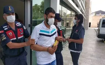 Mısır tarlasında uyuşturucu yetiştiren şahıs tutuklandı
