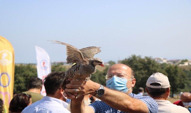 OMÜ’de kampüse keklik ve sülün salındı
 - Samsun Ondoukuz Mayıs Üniversitesi (OMÜ) Kurupelit Kampüsüne salınan toplam 500 adet sülün ve keklik ekosistemdeki yerini aldı.
