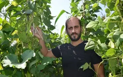 Bu fasulye Türkiye’de tek
