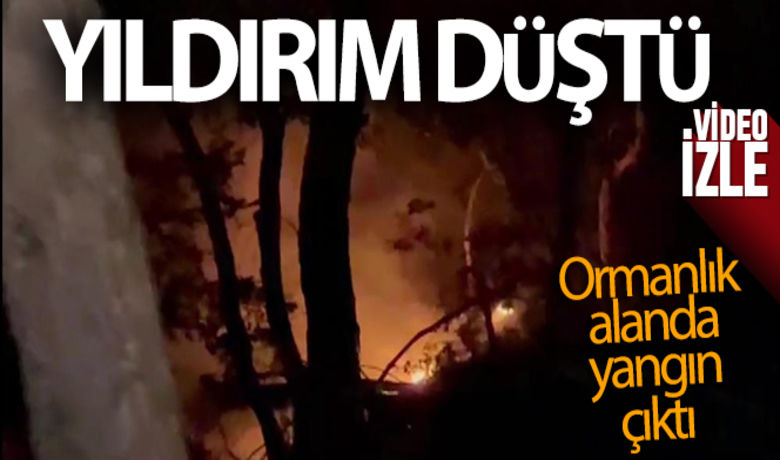 Bursa'da yıldırım düştü,ormanlık alanda yangın çıktı - Bursa'nın İznik ilçesinde yıldırım düşmesi sonucu ormanlık alanda yangın çıktı. Ekiplerinin 3 saat süren söndürme çalışmaları sonucu kontrol altına alındı.