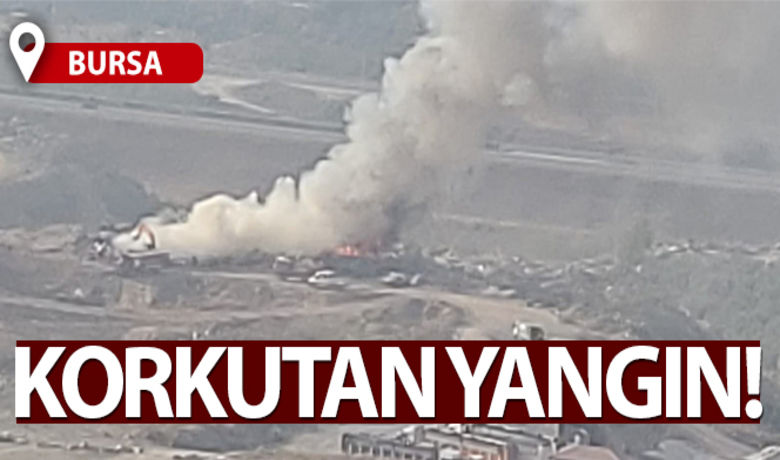 Bursa'da korkutan yangın - Bursa'nın Gemlik ilçesinde dolgu alanında çıkan yangın, korku dolu anların yaşanmasına neden oldu.