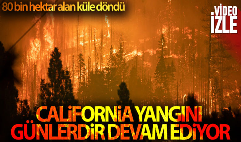 California'daki Caldor yangını 34binden fazla yapıyı tehdit ediyor - ABD’nin California eyaletinde 18 gündür devam eden Caldor yangını, 34 binden fazla yapıyı tehdit ediyor. Kontrol altına alınamayan yangın, şu ana kadar 80 bin hektarlık alanı kül çevirdi.