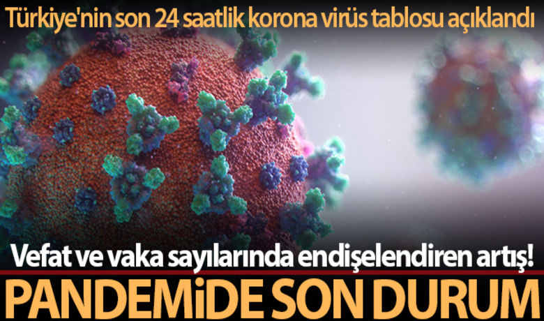 Sağlık Bakanlığı, Türkiye'nin son 24saatlik korona virüs tablosunu açıkladı - Sağlık Bakanlığı, son 24 saatlik korona virüs tablosunu açıkladı. Türkiye'de son 24 saatte 23.946 kişinin testi pozitif çıktı, 290 kişi hayatını kaybetti.