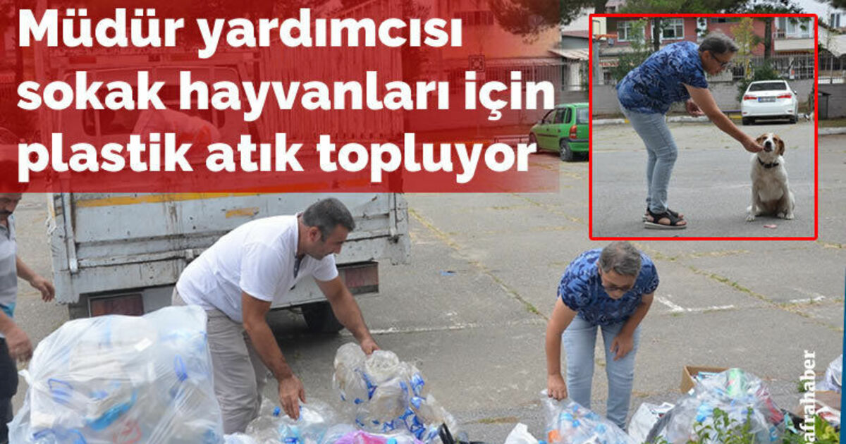 Okul müdür yardımcısı sokak hayvanları için plastik atık topluyor