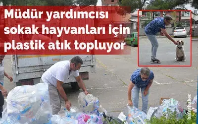 Okul müdür yardımcısı sokak hayvanları için plastik atık topluyor