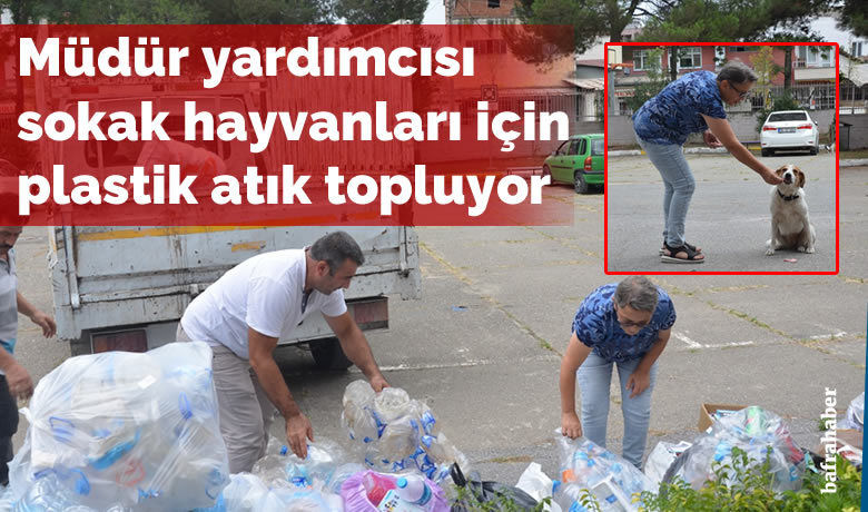 Okul müdür yardımcısı sokakhayvanları için plastik atık topluyor