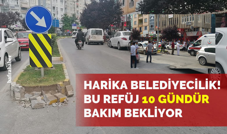 Bu Refüj 10 Gündür Bakım Bekliyor