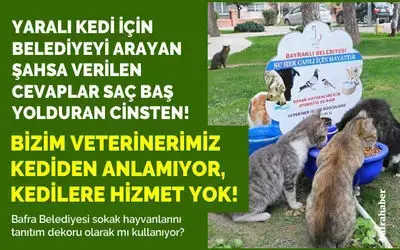 Yaralı Kedi İçin Belediyeyi Arayan Şahsa Verilen Cevaplar…