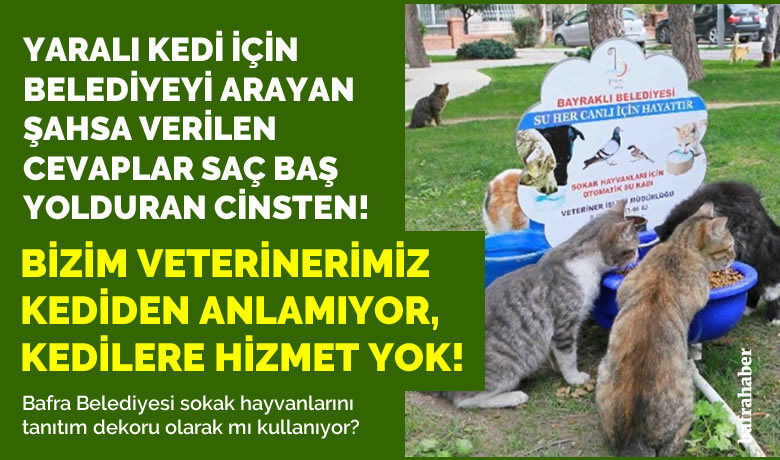 Yaralı Kedi İçin BelediyeyiArayan Şahsa Verilen Cevaplar… - Bafra Devlet Hastanesinde çalışan bir kişi, yaralı bir kedi için Bafra Belediye zabıtasını aradığını ancak zabıtanın kendisine “veterinerlerinin kediden anlamadığını, kedilere hizmetlerinin olmadığını” söylediğini iddia etti. 