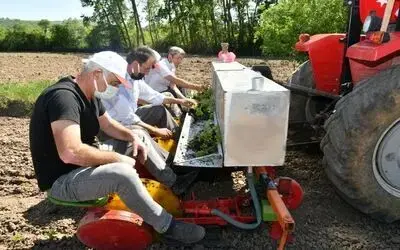Samsun’da 1500 çiftçiye 7,5 milyon liralık destek
