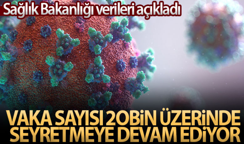 Sağlık Bakanlığı, Türkiye'nin son 24saatlik korona virüs tablosunu açıkladı - Sağlık Bakanlığı, son 24 saatlik korona virüs tablosunu açıkladı. Türkiye'de son 24 saatte 23.914 kişinin testi pozitif çıktı, 262 kişi hayatını kaybetti.