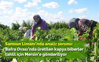 Samsun Limanı’nda analiz sorunu