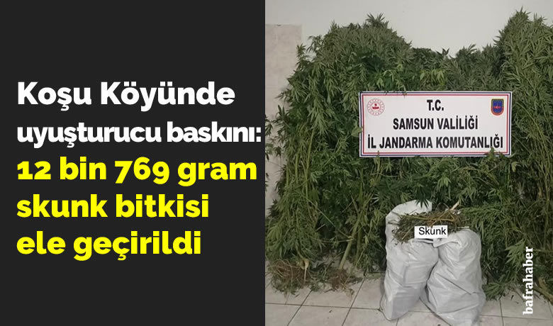 Koşu Köyünde uyuşturucu baskını: 12 bin 769 gram skunk bitkisi ele geçirildi