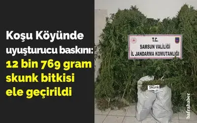 Koşu Köyünde uyuşturucu baskını: 12 bin 769 gram skunk bitkisi ele geçirildi